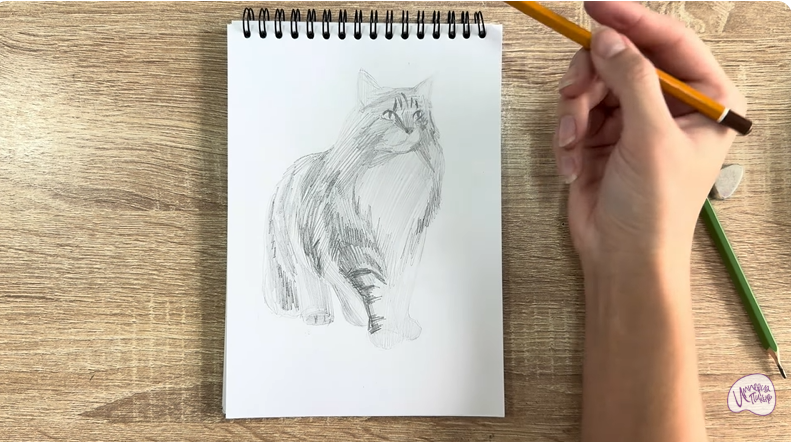 Рисуем Норвежский лесной кот