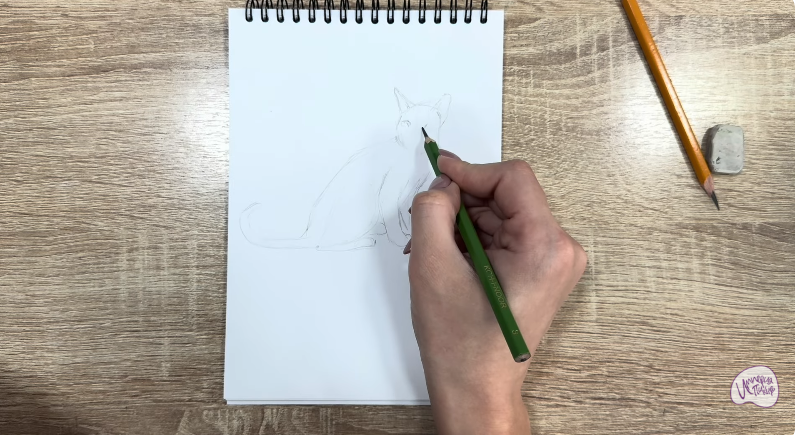 Рисуем Кот породы "Корат"