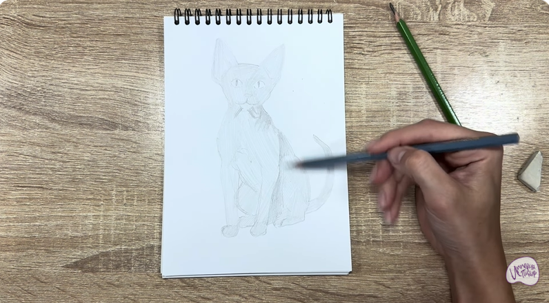 Рисуем Девон Рекс