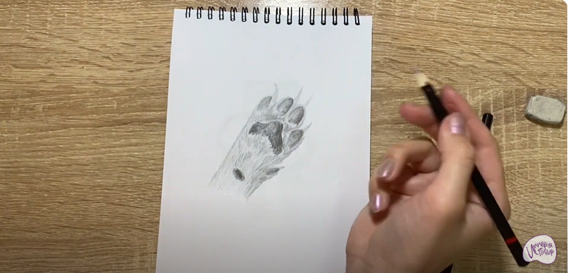 Рисуем Лапа собаки