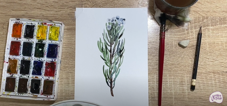 Рисуем Цветок "Бруния"
