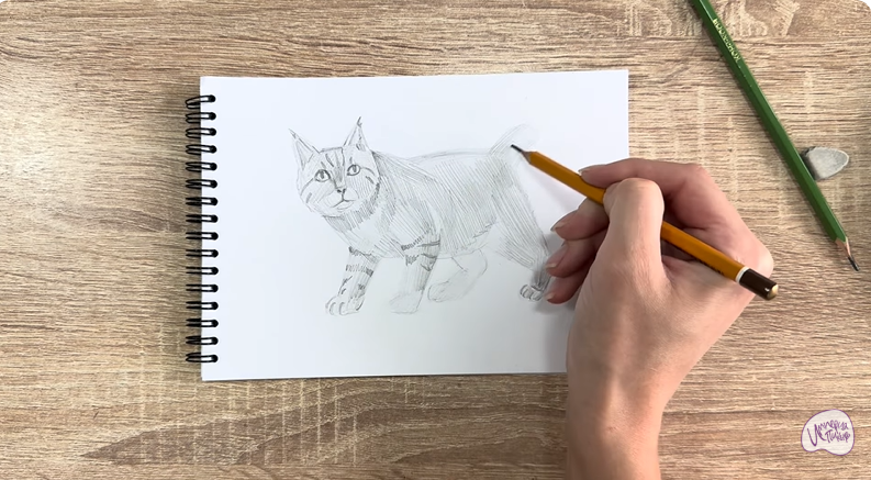 Рисуем Пиксибоб