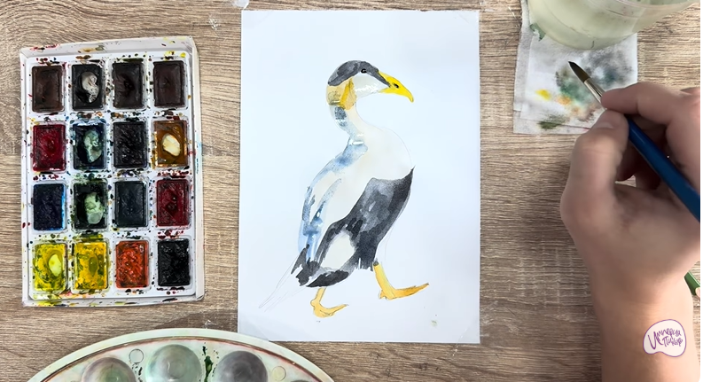 Рисуем Обыкновенная гага