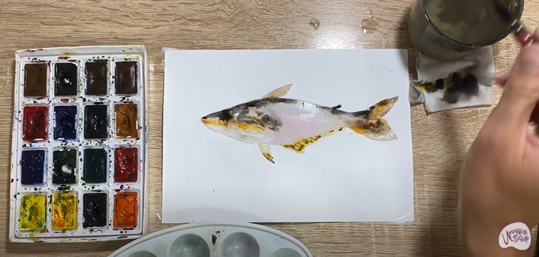 Рисуем Пангасиус