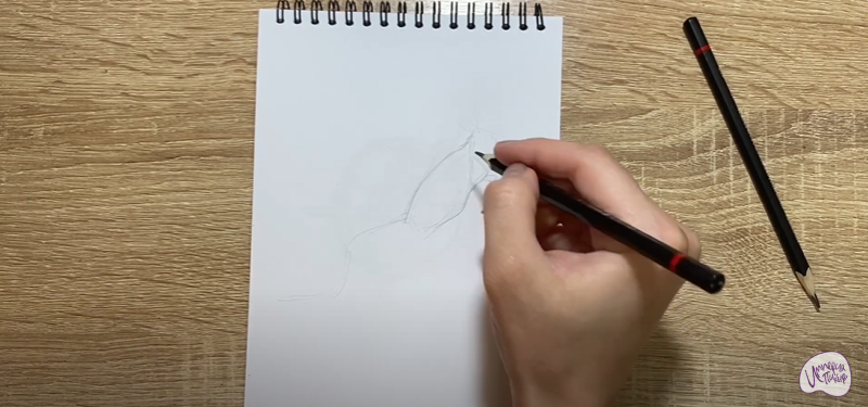 Рисуем Тушканчик