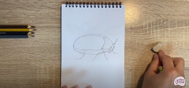 Рисуем Кожеед