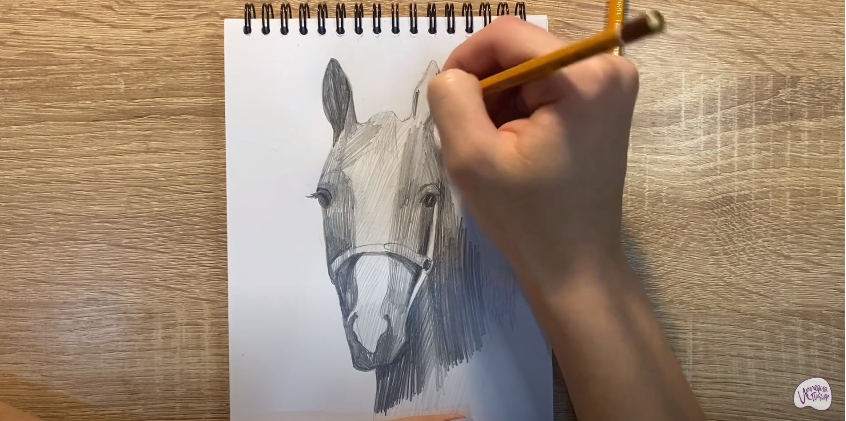 Рисуем Голова лошади