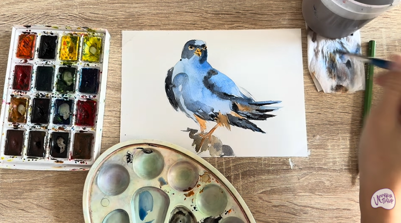 Рисуем Кобчик