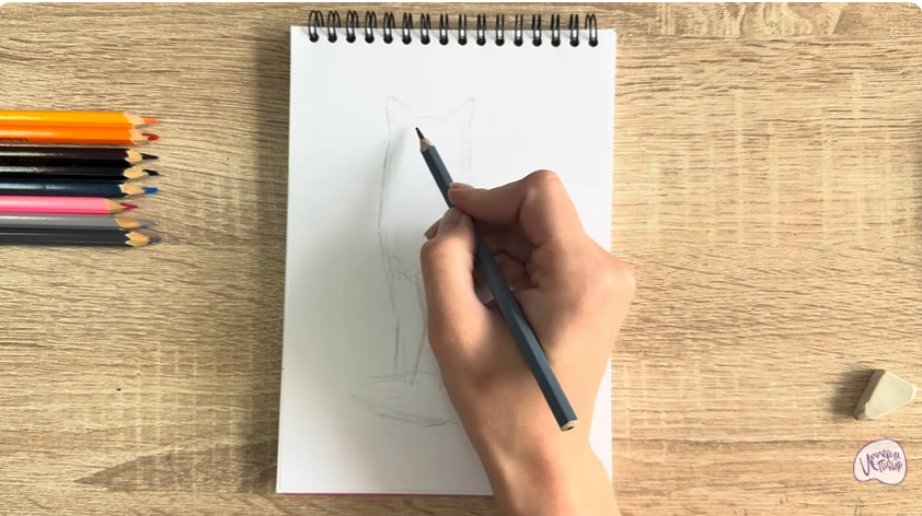 Рисуем Кот породы "Турецкий ван"