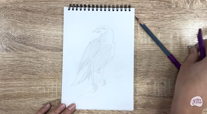 Рисуем Хохлатый осоед