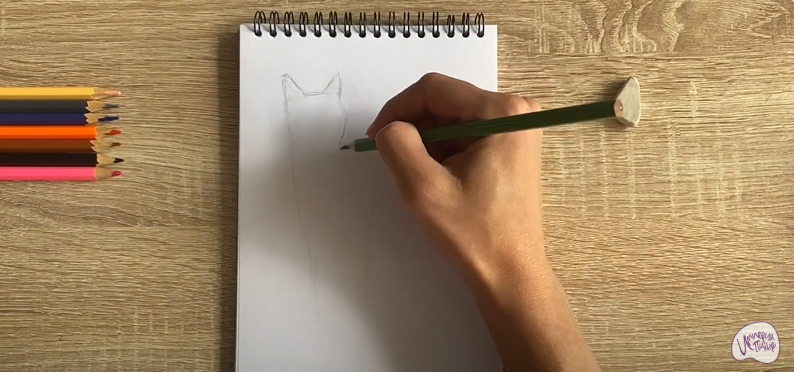 Рисуем Кот породы "японский бобтейл"