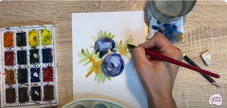 Рисуем Водяника чёрная