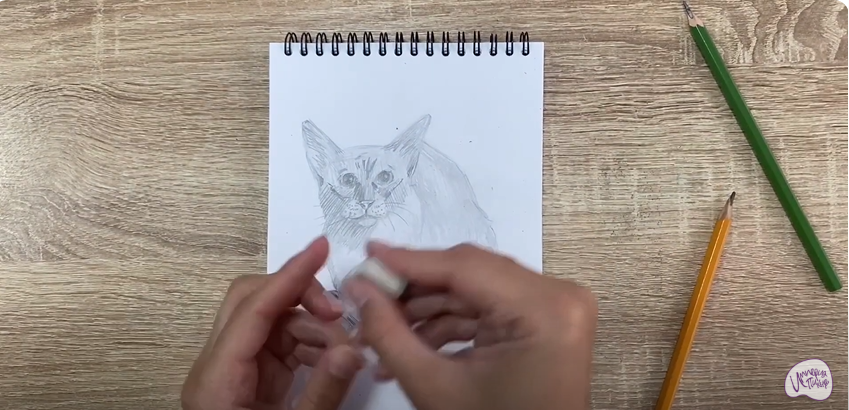 Рисуем Балинезийская кошка