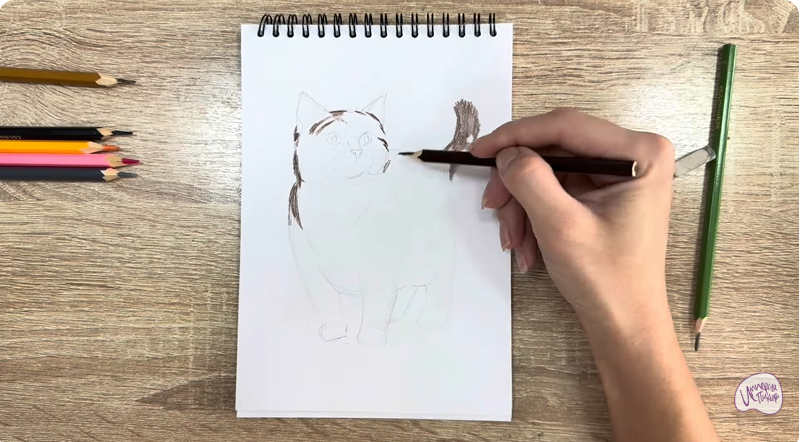 Рисуем Кошка породы "Манчкин"