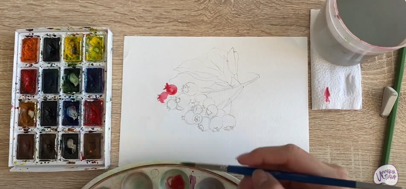 Рисуем Ирга