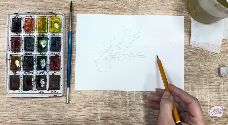 Рисуем Пеллиония в горшке