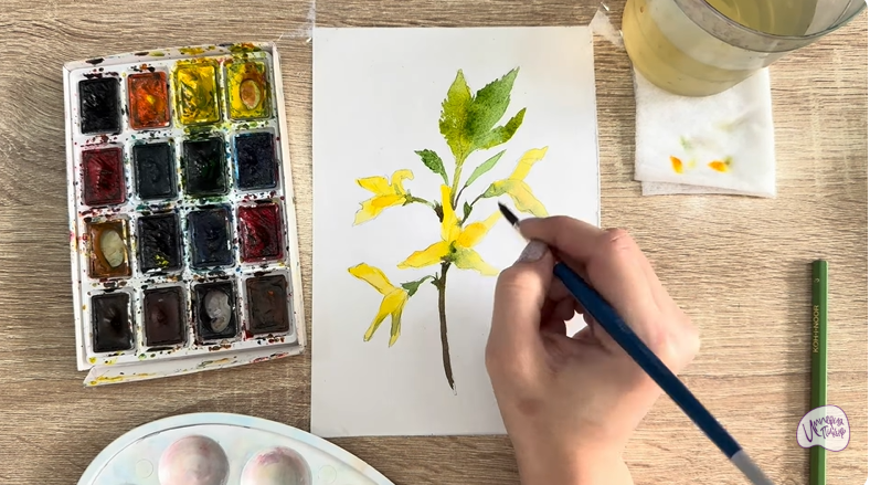 Рисуем Форзиция