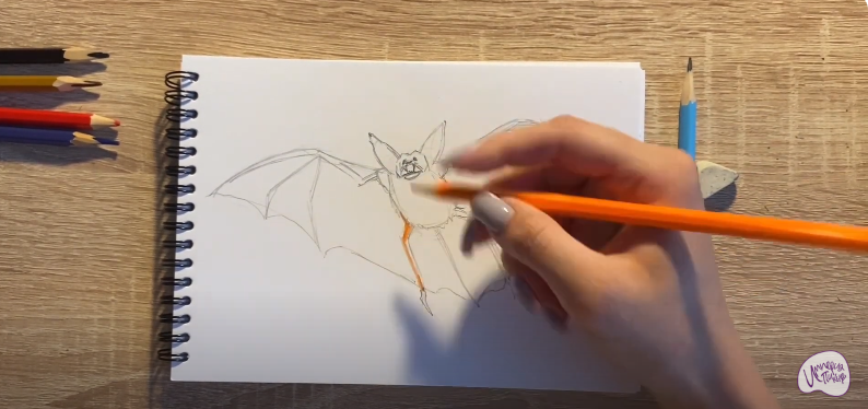 Рисуем Летучая мышь