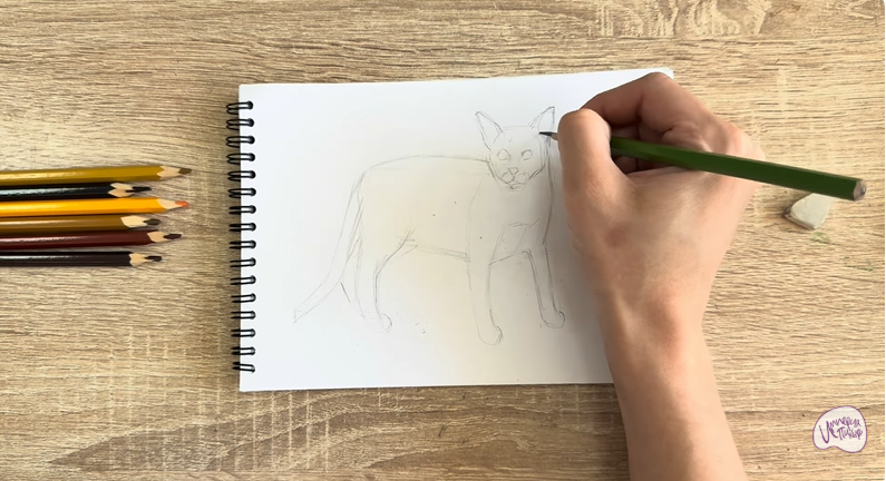 Рисуем Кот породы Оцикет