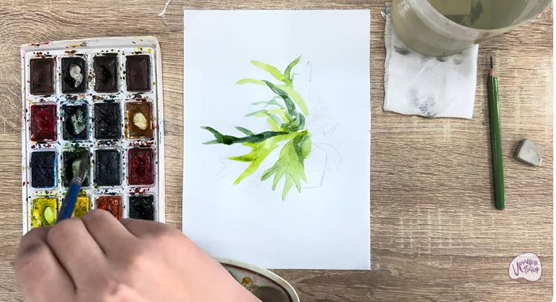 Рисуем Платицериум в горшке