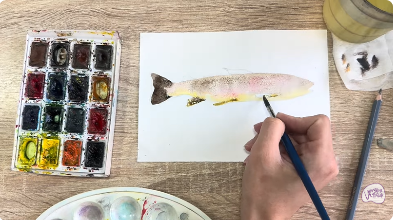 Рисуем Кумжа