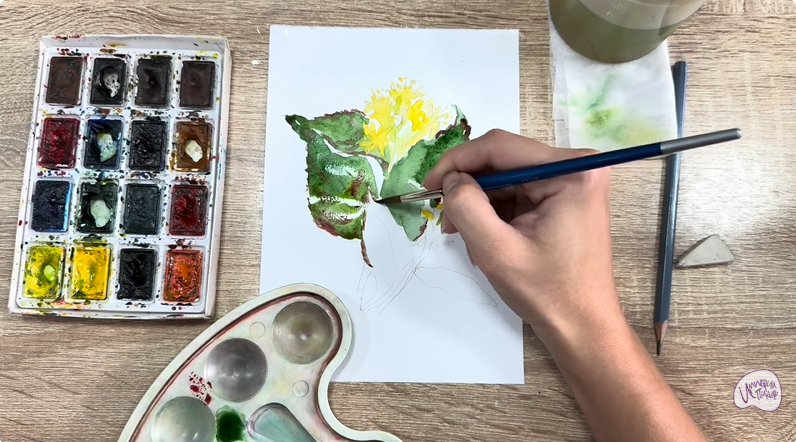 Рисуем Диервилла