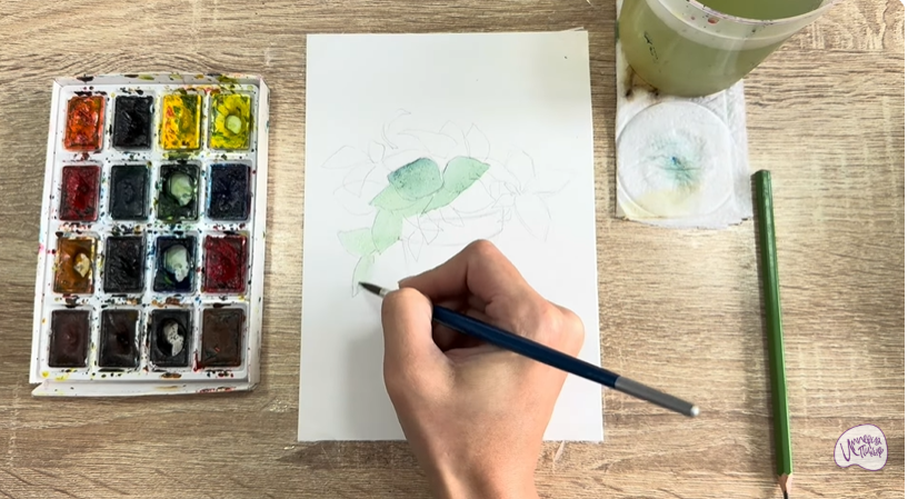 Рисуем Традесканция