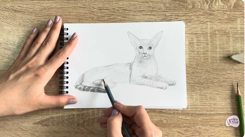 Рисуем Ориентальная кошка