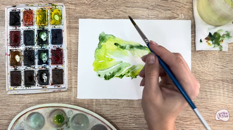 Рисуем Пекинская капуста