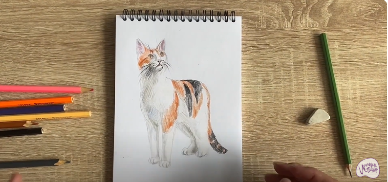 Рисуем Кот породы "японский бобтейл"