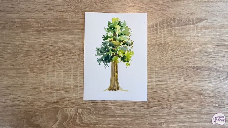 Рисуем Секвойя