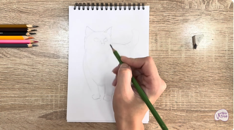 Рисуем Кошка породы "Манчкин"