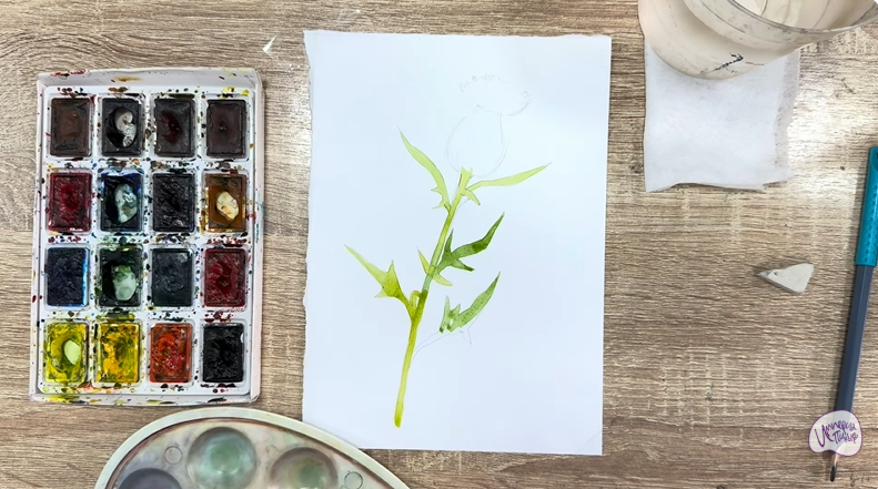 Рисуем Бодяк