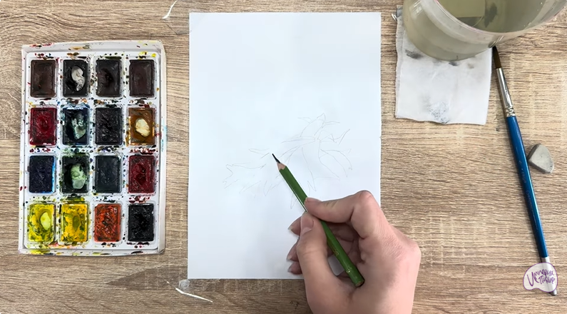 Рисуем Платицериум в горшке