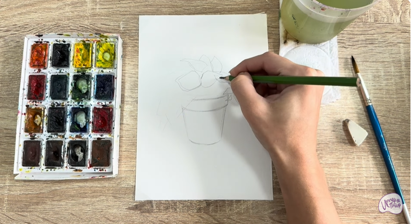 Рисуем Традесканция