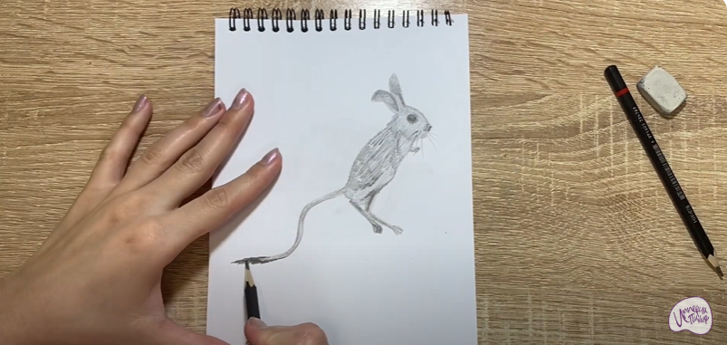 Рисуем Тушканчик
