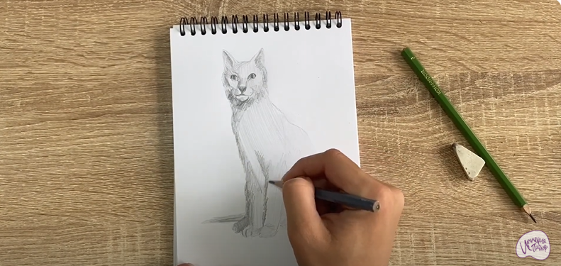 Рисуем Турецкая ангора