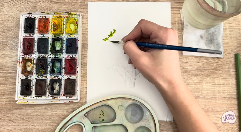 Рисуем Саженец бирючины