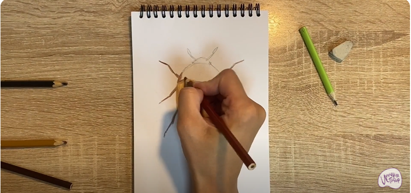 Рисуем Жук капровый