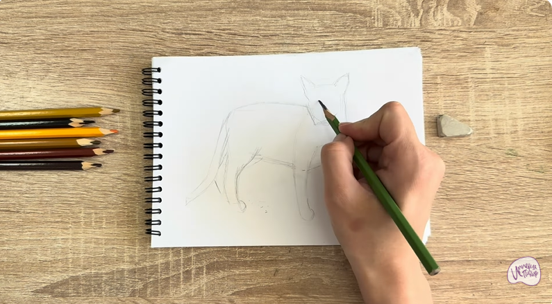 Рисуем Кот породы Оцикет