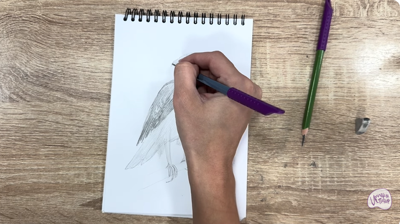 Рисуем Хохлатый осоед