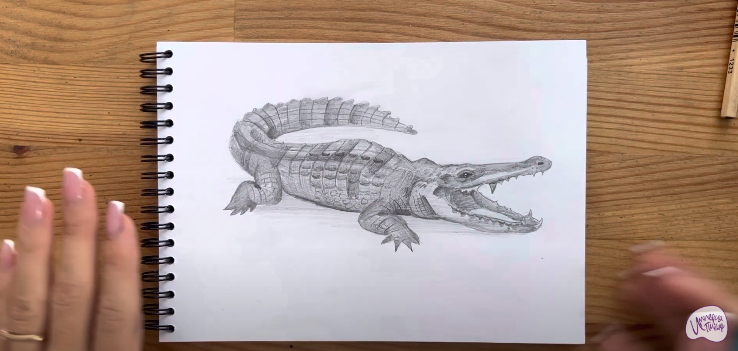 Рисуем Крокодил