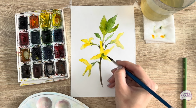 Рисуем Форзиция