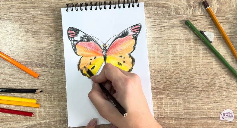 Рисуем Малинница обыкновенная