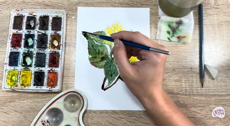 Рисуем Диервилла