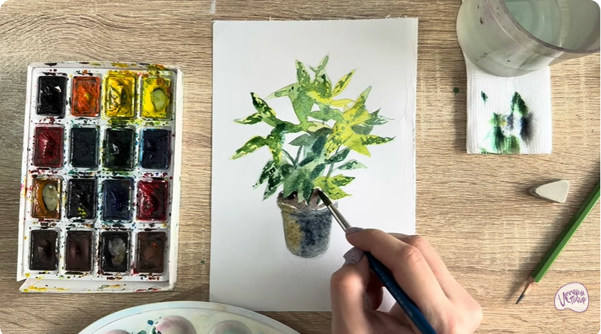 Рисуем Аукуба японская
