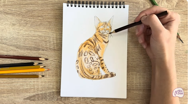 Рисуем Кошка Тойгер