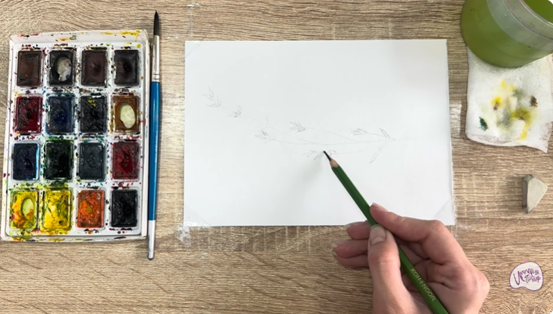 Рисуем Тимьян