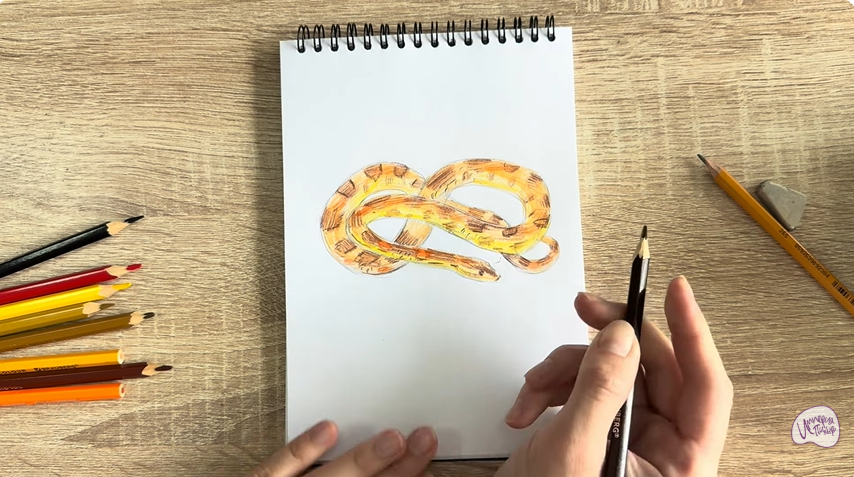 Рисуем Маисовый полоз