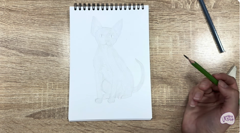 Рисуем Девон Рекс